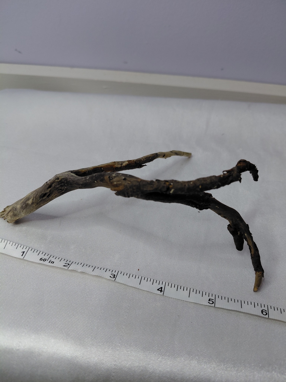 CRAFT Natural Driftwood Decorative Branches - Picture 3 of 10